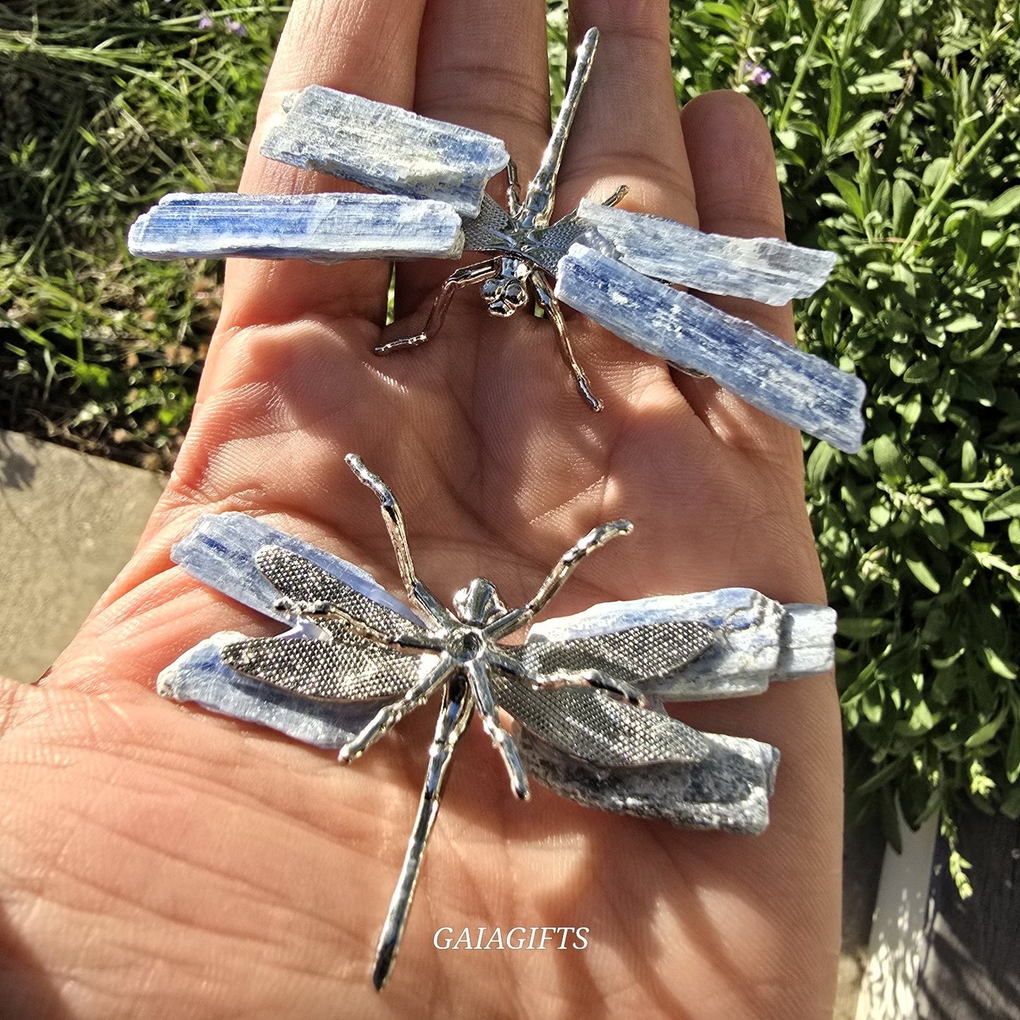 Amazing INSECTS Crystals - Item AF