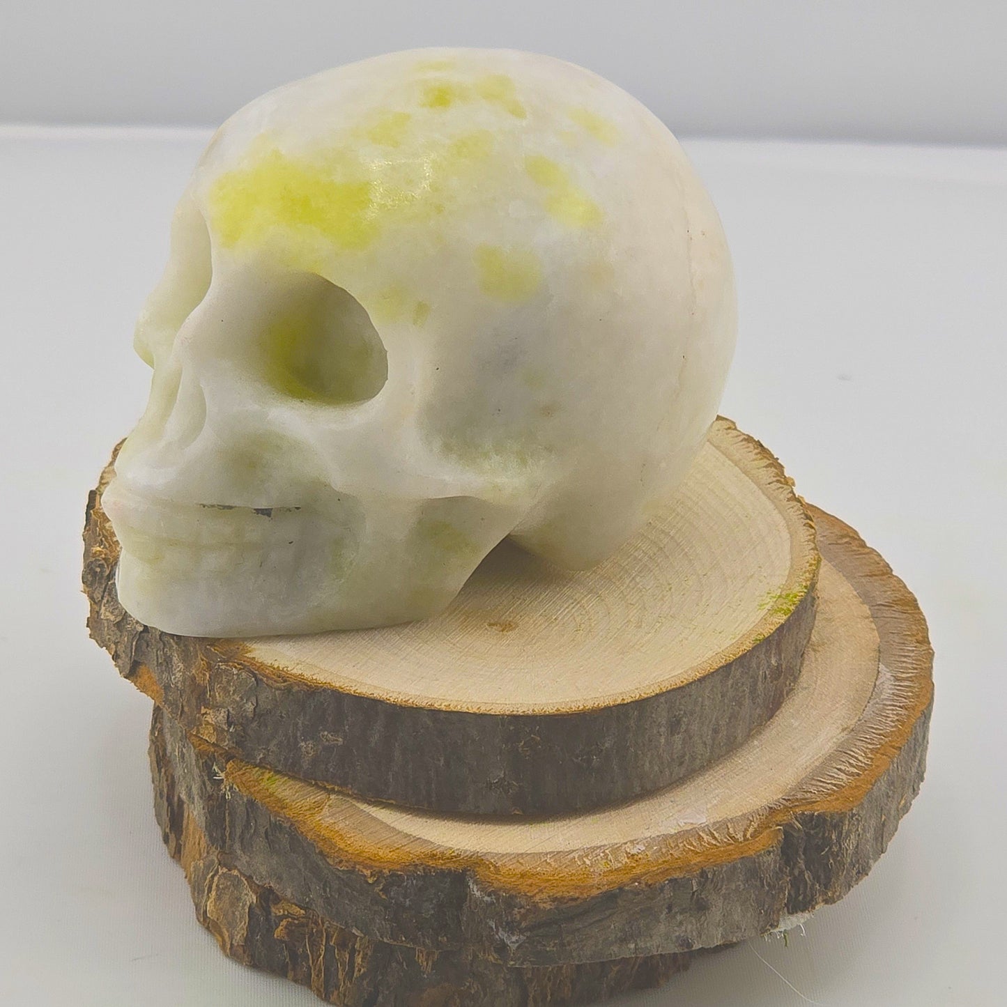 Astonishing Crystal & Fossil SKULLS Designs- Item AI