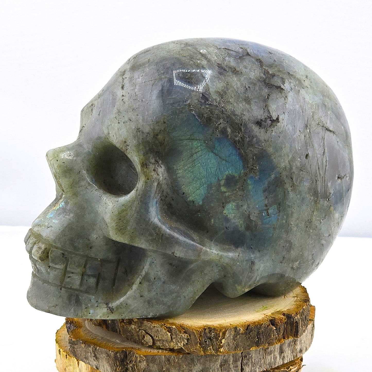 Astonishing Crystal & Fossil SKULLS Designs- Item AI
