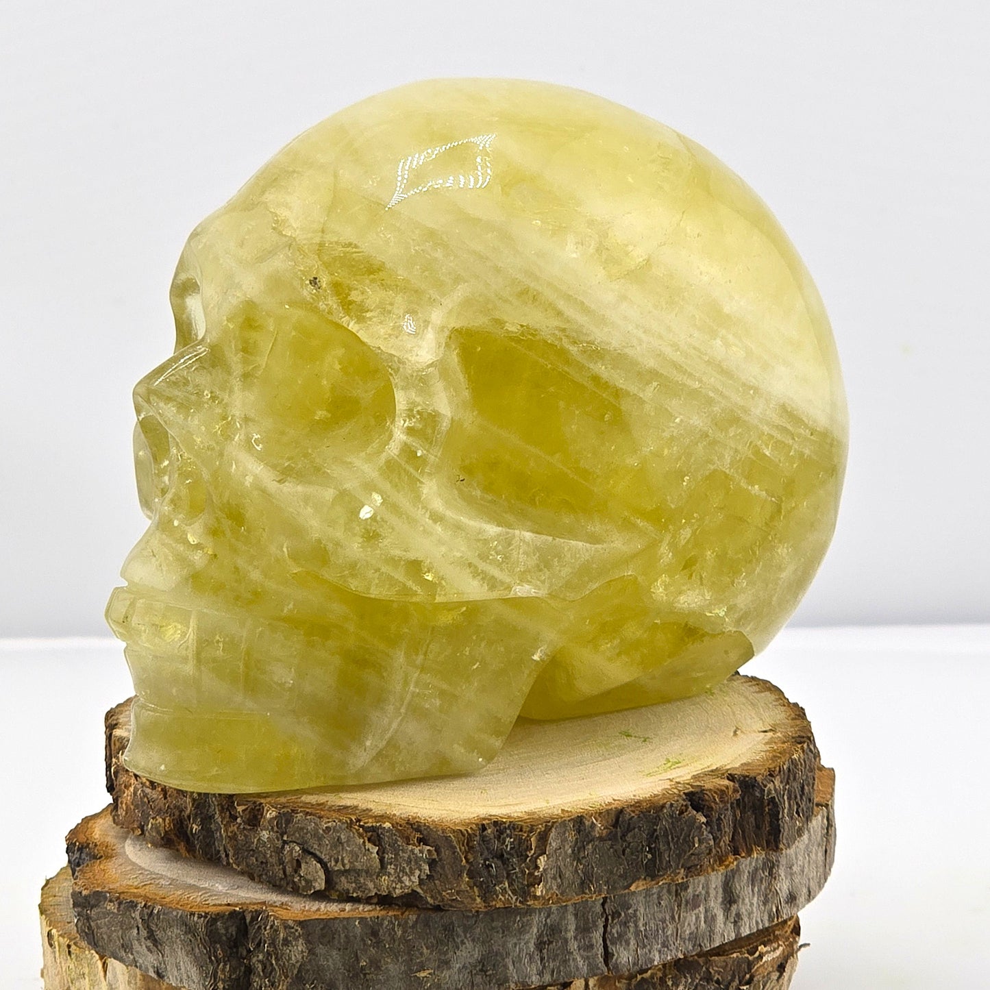 Astonishing Crystal & Fossil SKULLS Designs- Item AI