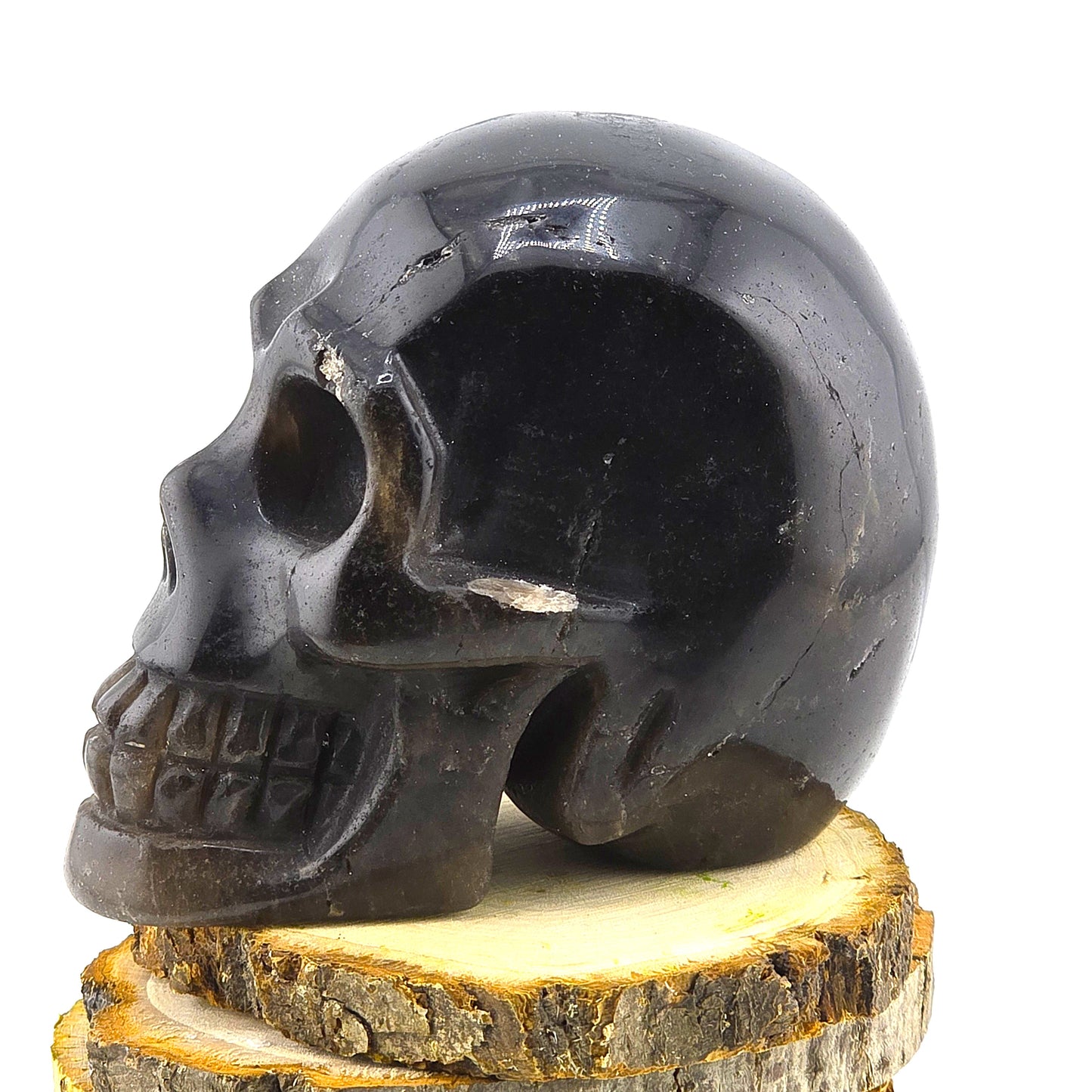 Astonishing Crystal & Fossil SKULLS Designs- Item AI