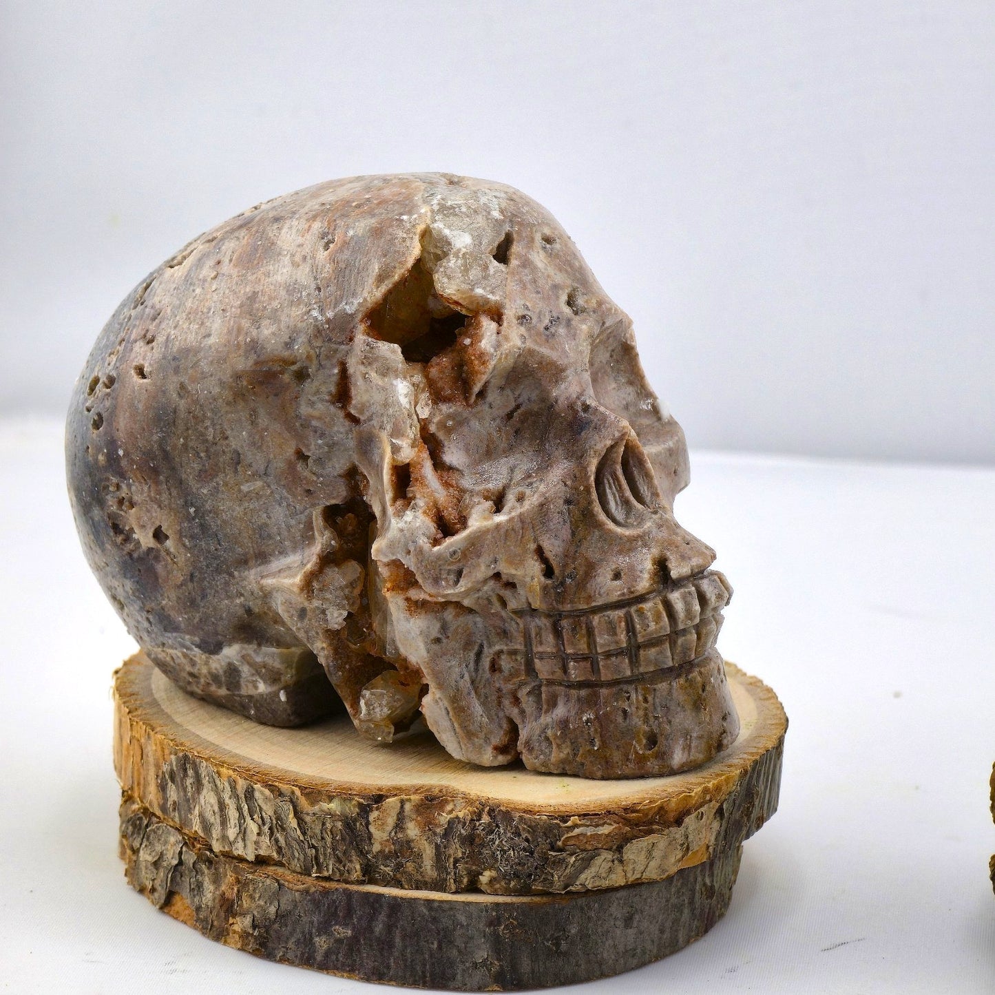 Astonishing Crystal & Fossil SKULLS Designs- Item AI