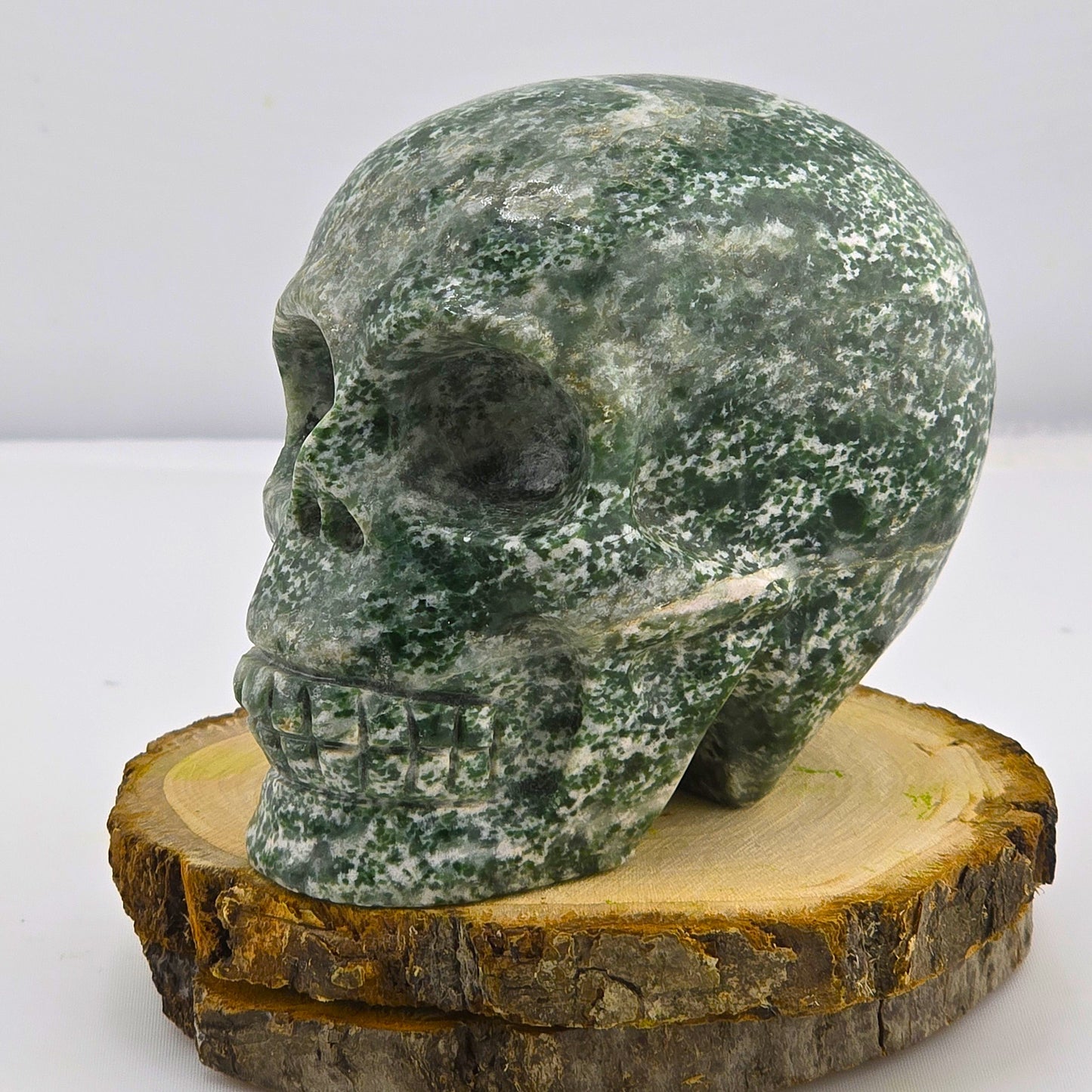 Astonishing Crystal & Fossil SKULLS Designs- Item AI