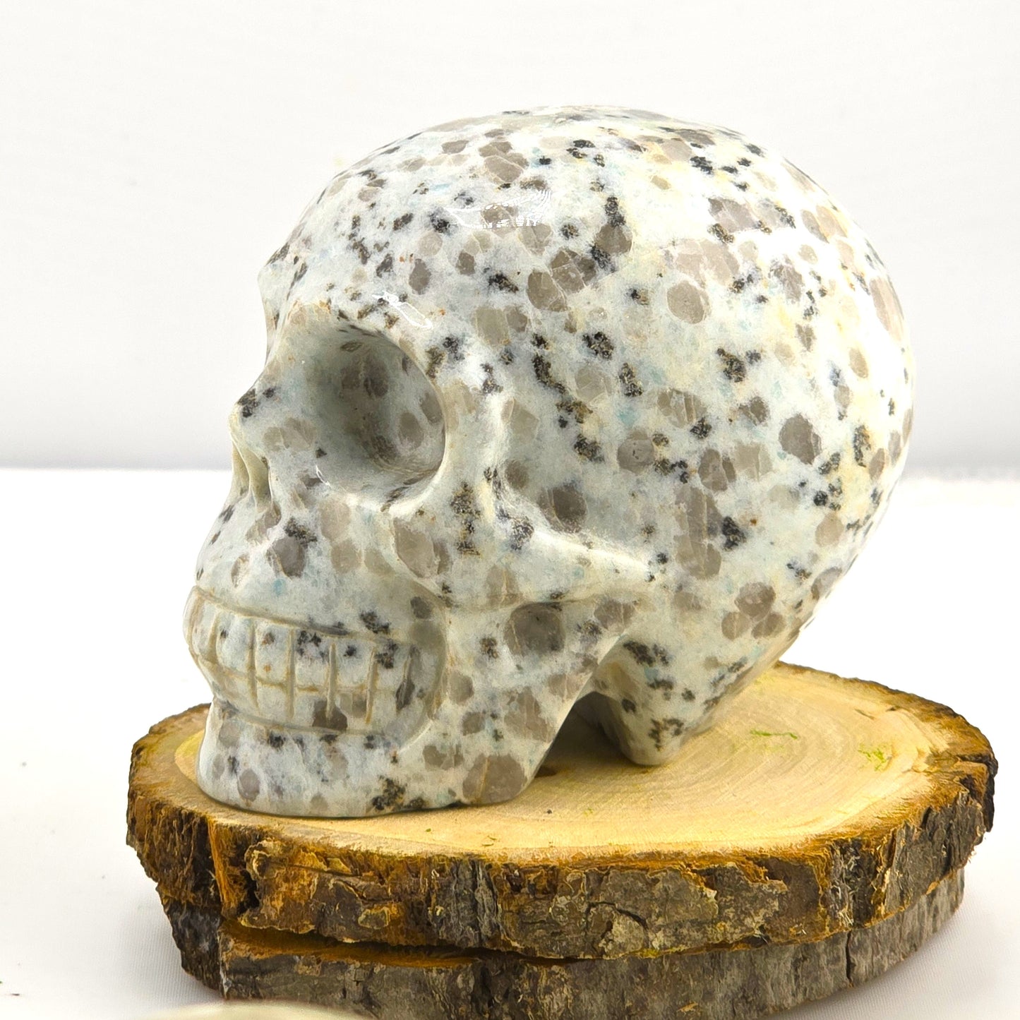 Astonishing Crystal & Fossil SKULLS Designs- Item AI