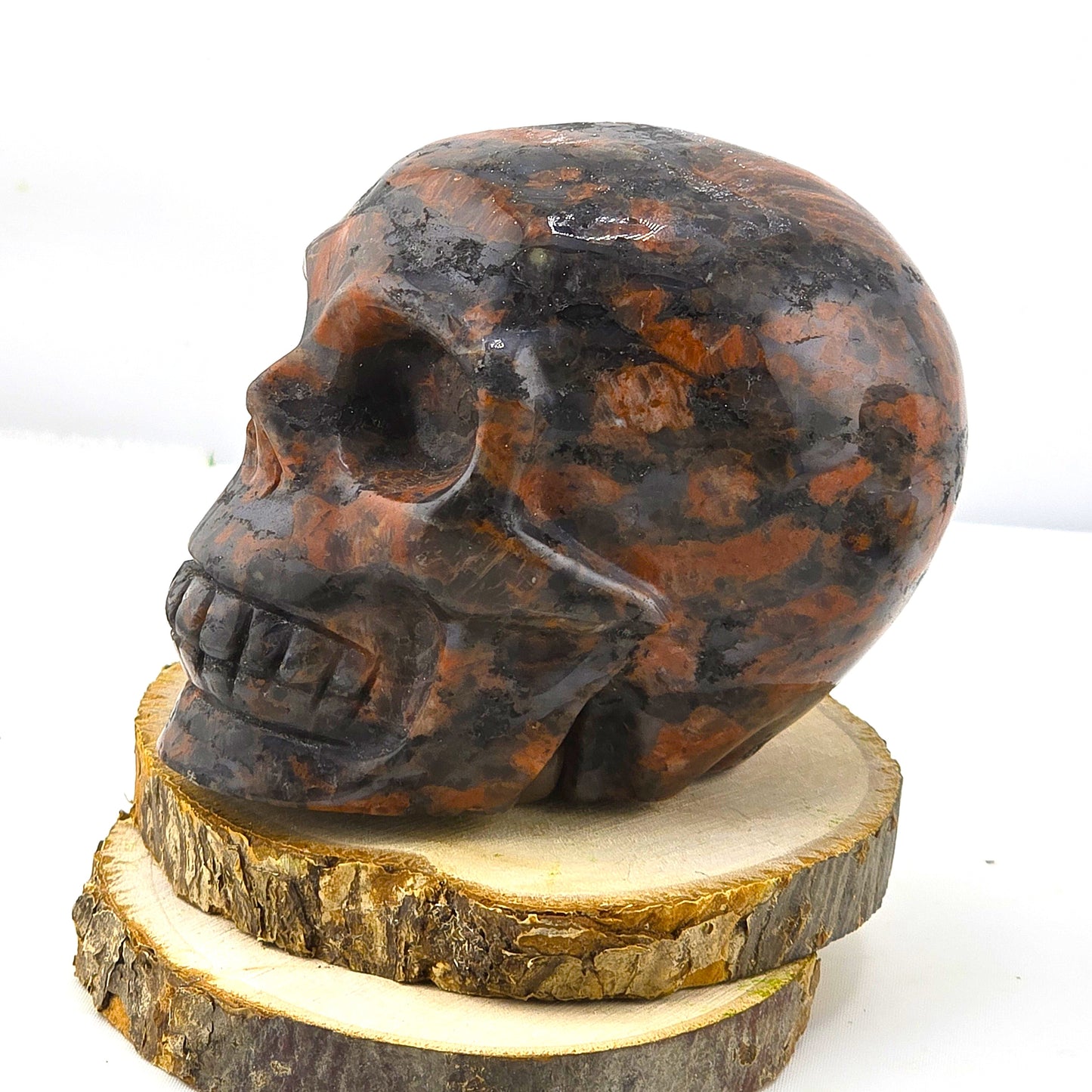 Astonishing Crystal & Fossil SKULLS Designs- Item AI