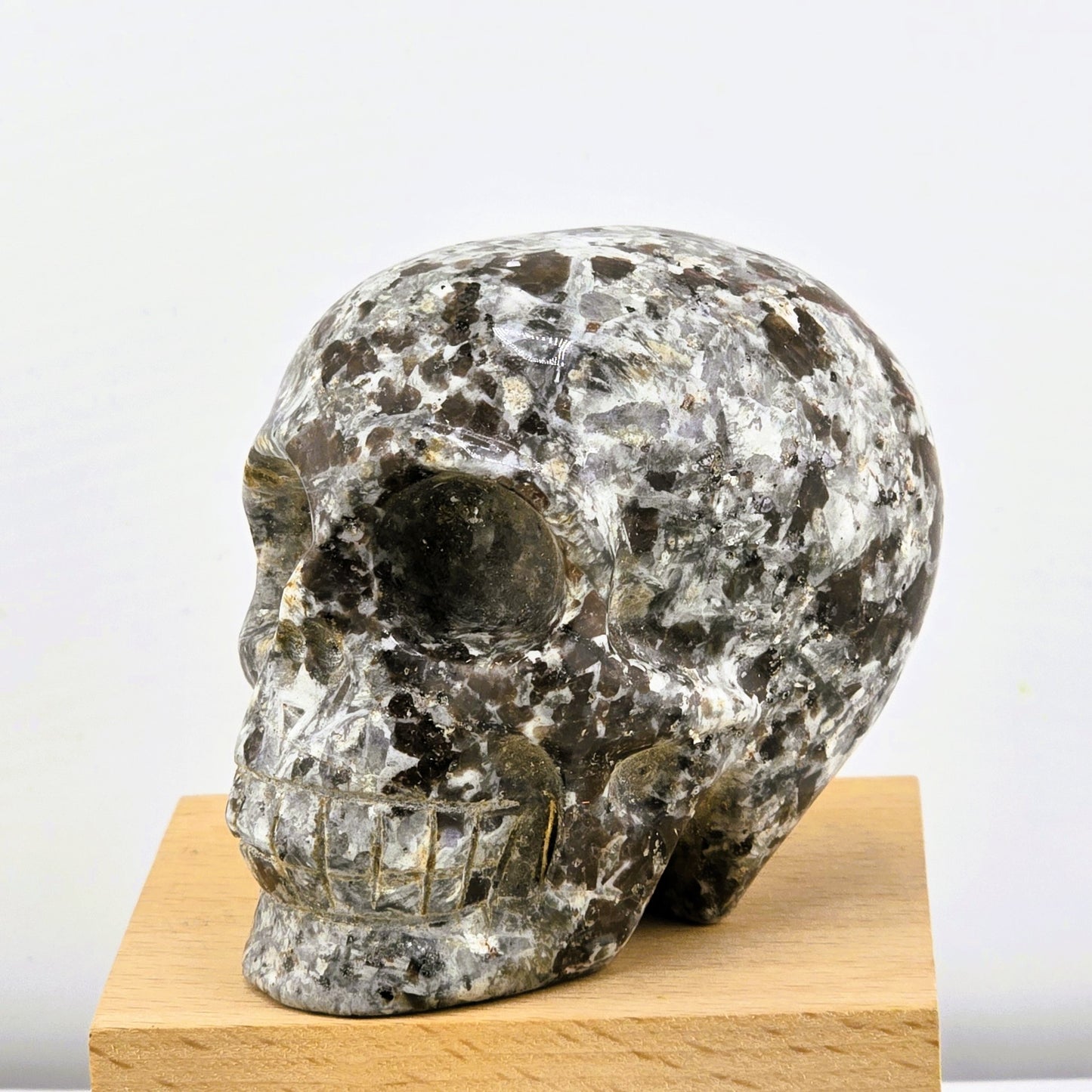 Astonishing Crystal & Fossil SKULLS Designs- Item AI