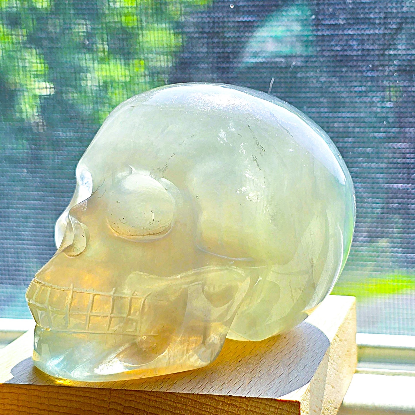Astonishing Crystal & Fossil SKULLS Designs- Item AI