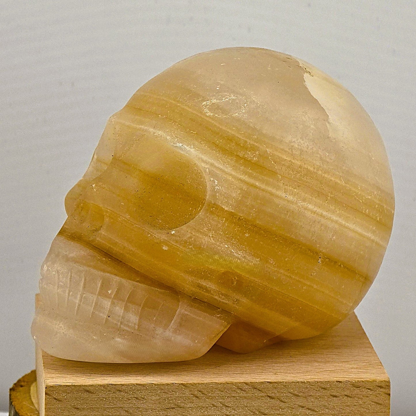 Astonishing Crystal & Fossil SKULLS Designs- Item AI