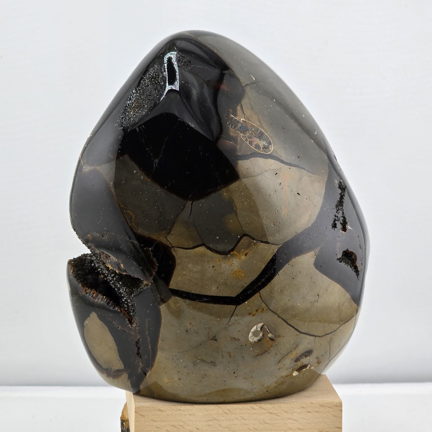 Aligned with Earth – Exclusive Crystal SCULPTURES & THINGS - Item AP