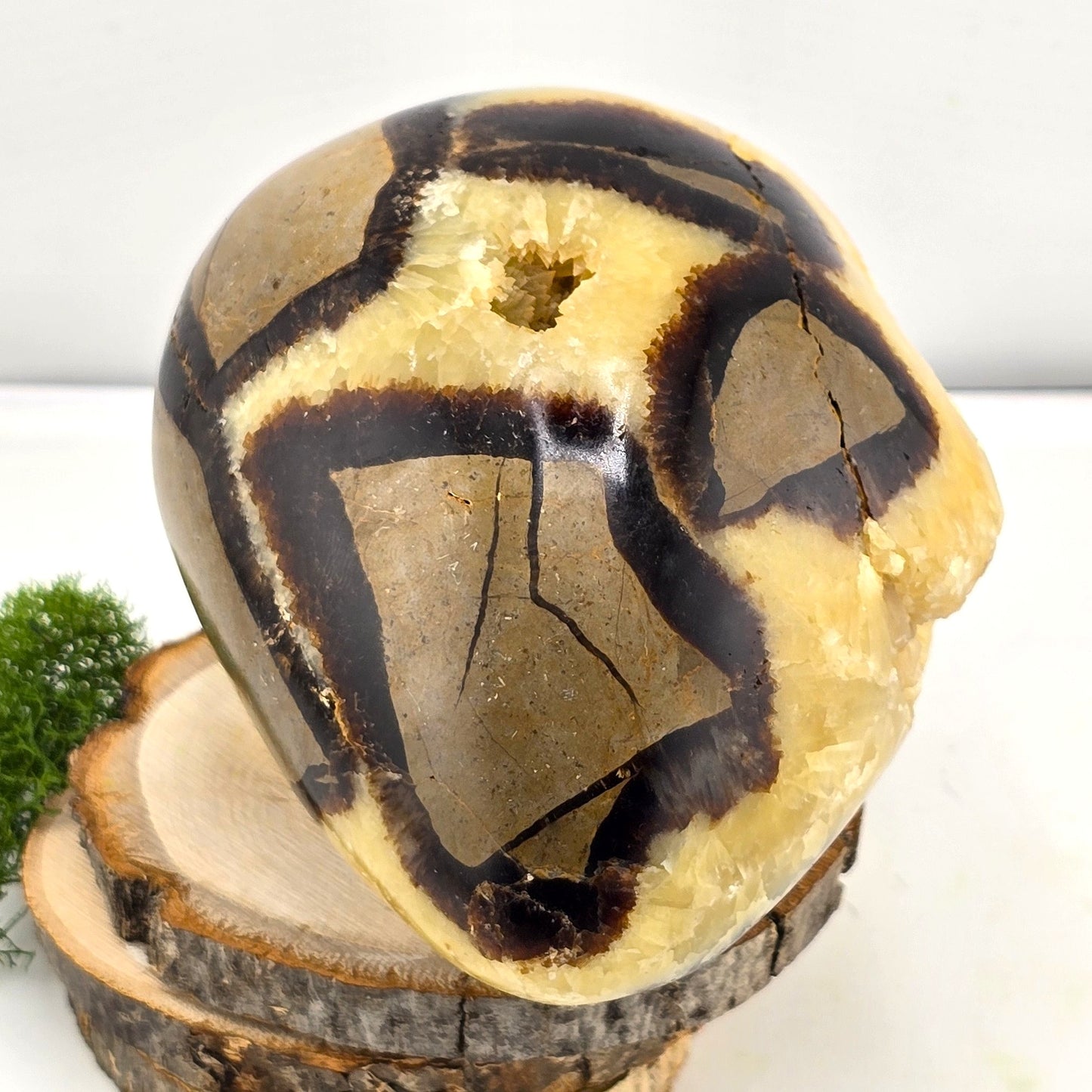 Aligned with Earth – Exclusive Crystal SCULPTURES & THINGS - Item AP