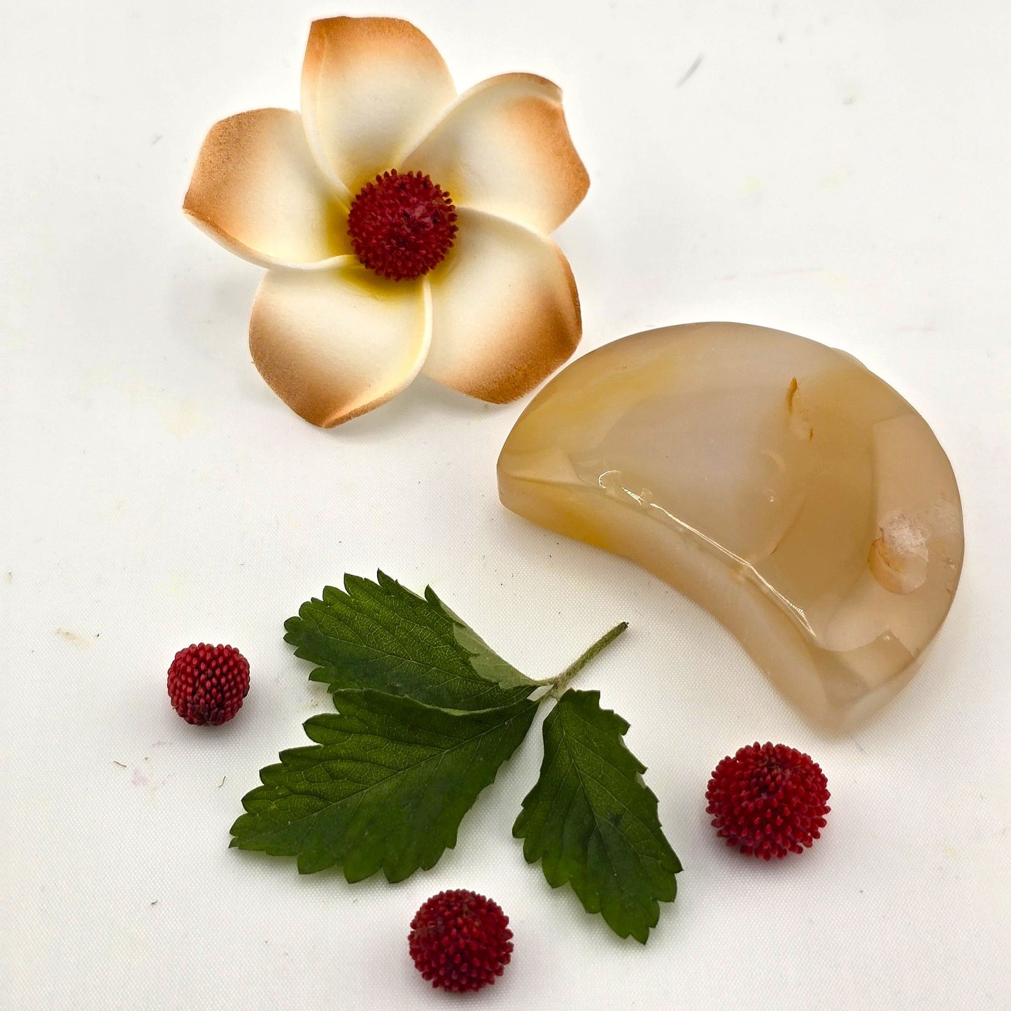 Austere Flower Agate Crescent MOON- AQ(1–8)