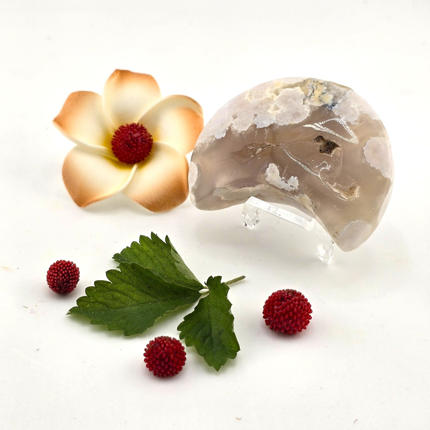 Austere Flower Agate Crescent MOON- AQ(1–8)