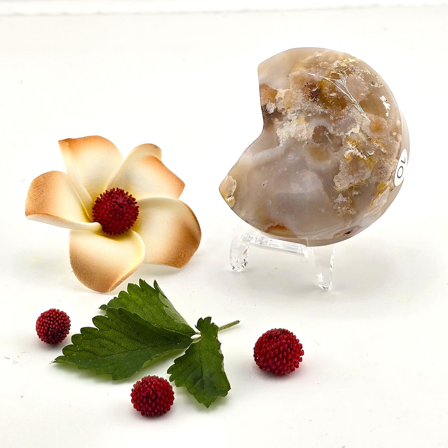 Austere Flower Agate Crescent MOON- AQ(1–8)
