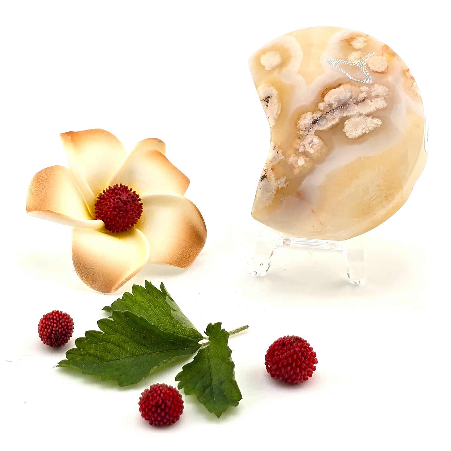 Austere Flower Agate Crescent MOON- AQ(1–8)