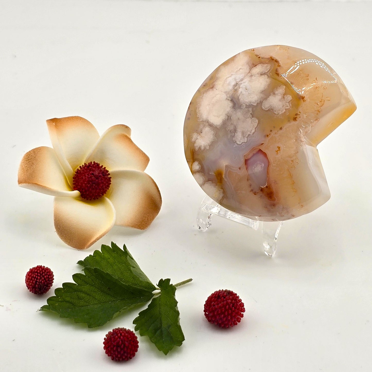Austere Flower Agate Crescent MOON- AQ(1–8)