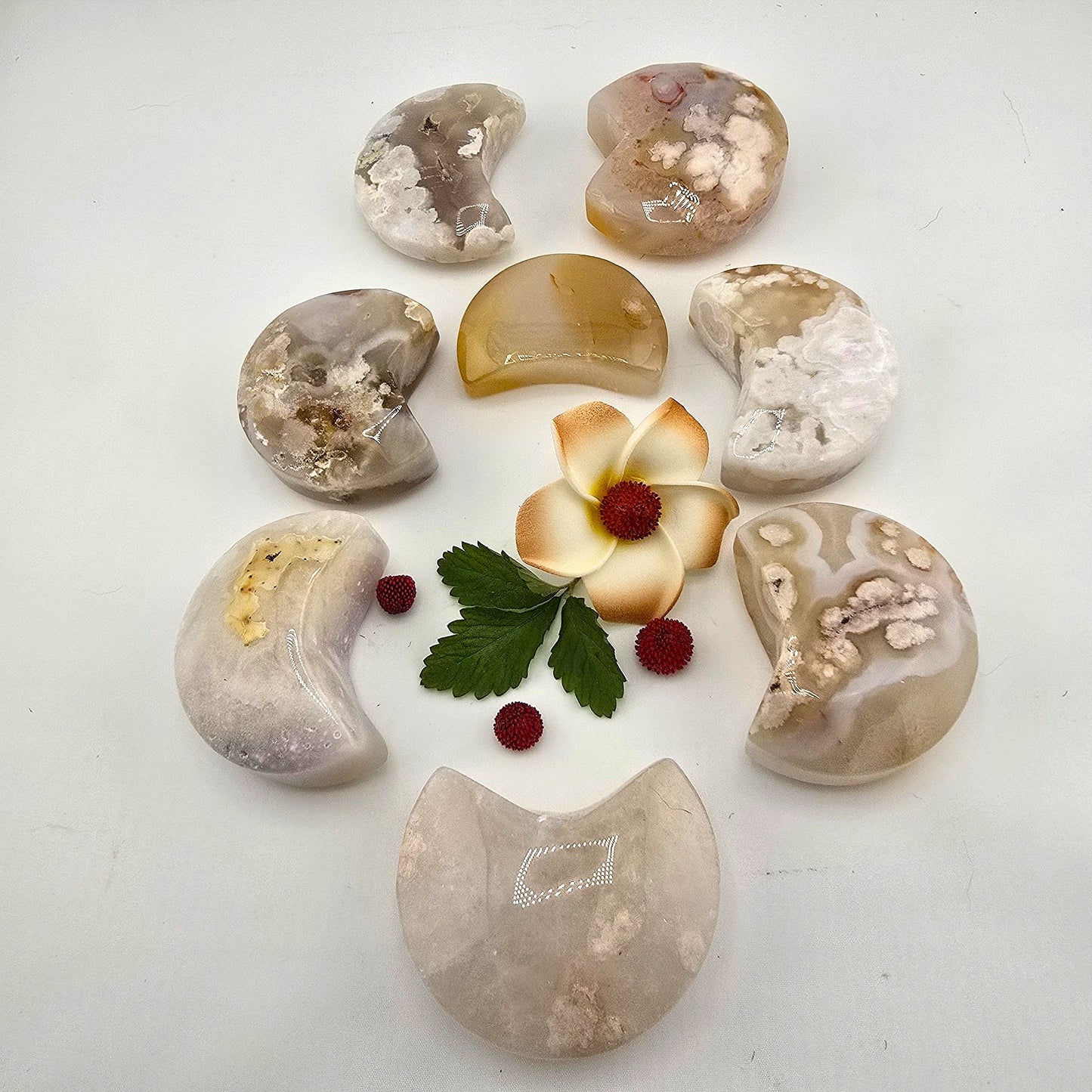 Austere Flower Agate Crescent MOON- AQ(1–8)