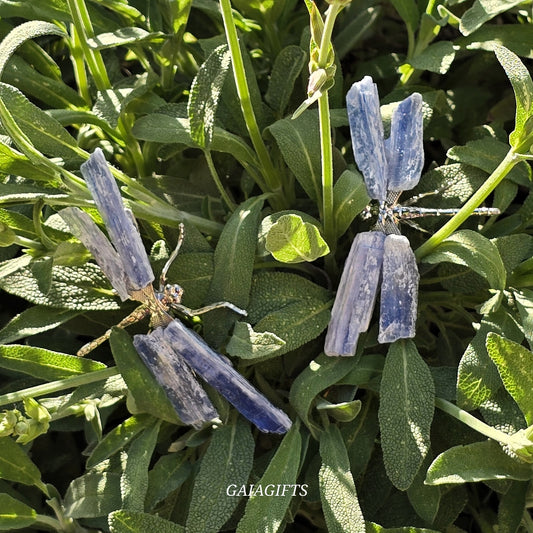 Amazing INSECTS Crystals - Item AF