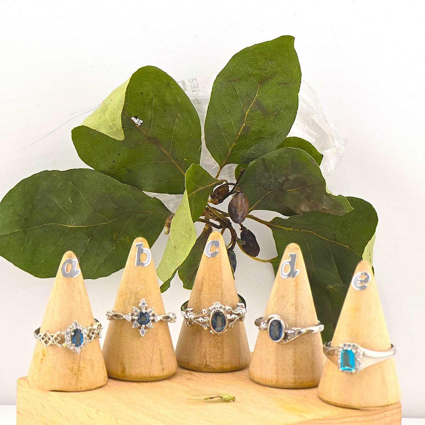 Effervescent (Part 3) - Embedded Sterling Sliver 925 METAL RINGS with Crystal Stones – Item P