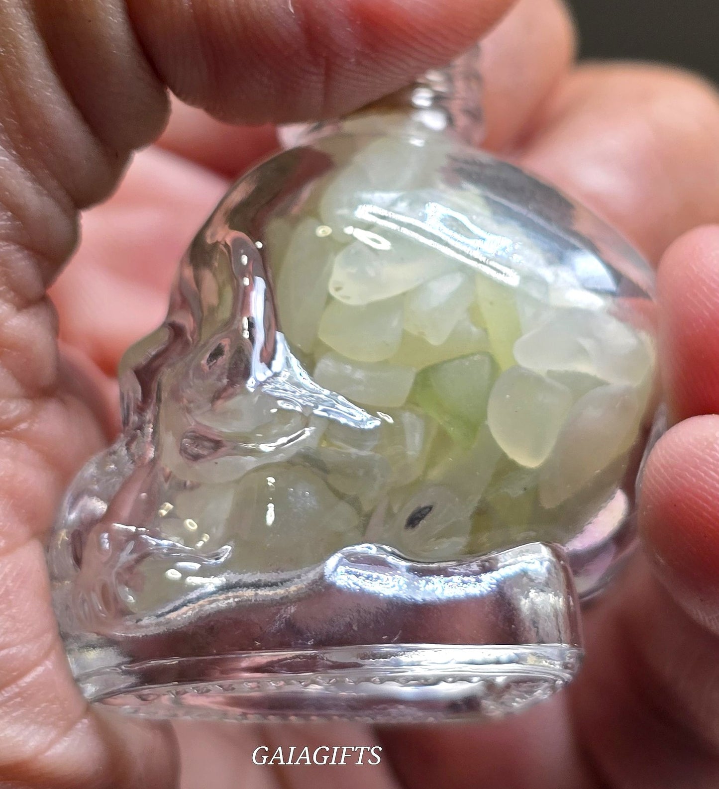 Mesmerizing SKULLS Crystal-Infused WISH BOTTLES| Gemstone Chips - Item X (1-7)
